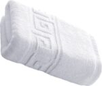 Set 12 Prosoape Hoteliere 50x90cm Bumbac Pakistanez 500g/mp Alb Optical Greek Border - imagine 4