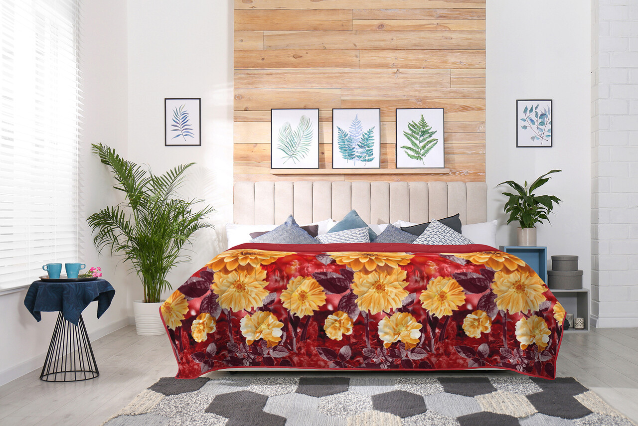 Pilota cocolino Pilota cocolino