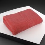 Prosop Lux Coral 70x130 cm 100% Bumbac Pieptănat 650 g/mp Ultra-Absorbant - imagine 4